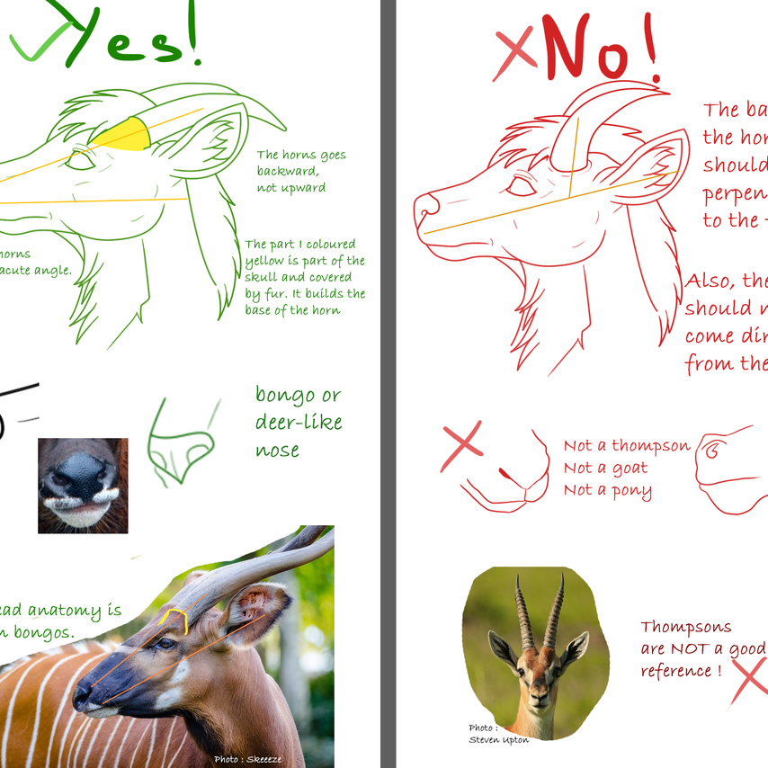 Featured image of post View 24 Goat Fursona Ref Sheet Base