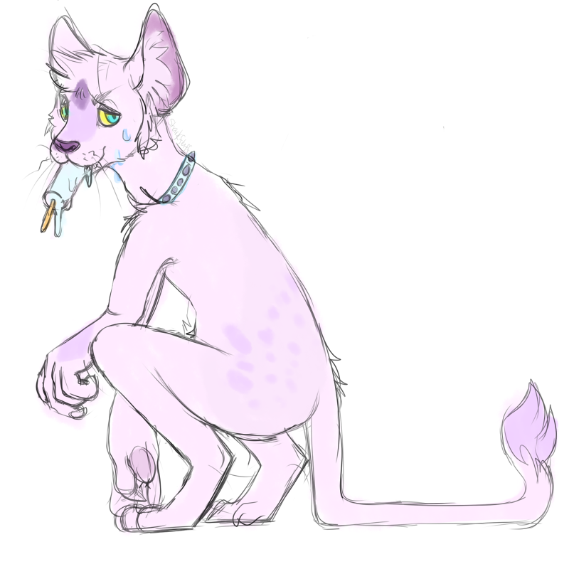 thesra.png