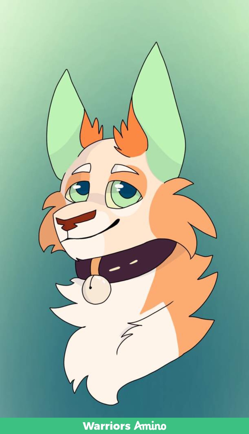 Image of Not decided yet Refsheet net