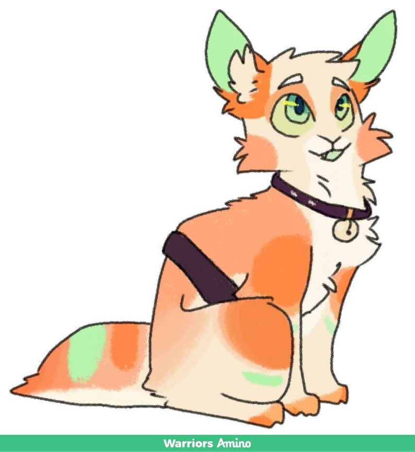 Image of Not decided yet Refsheet net