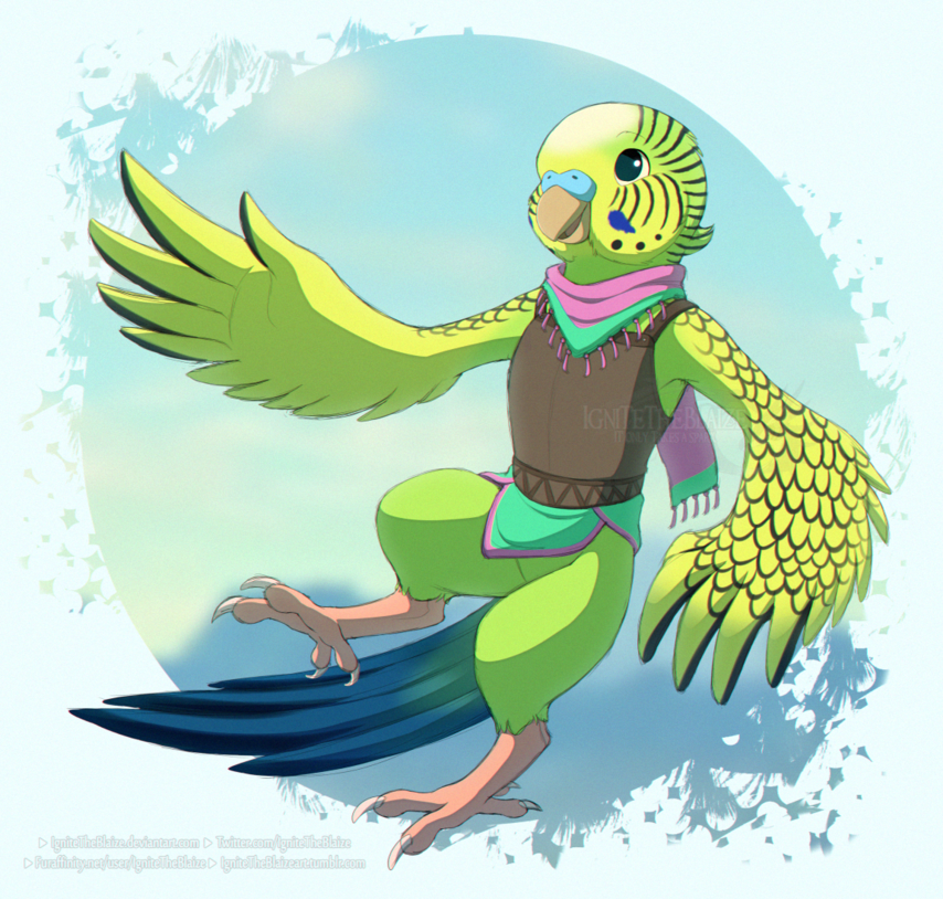 Aoki - Characters - Refsheet.net