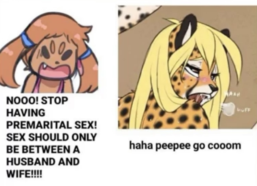 Posting a cropped yiff meme every day until NNN is over day 11 : r ...